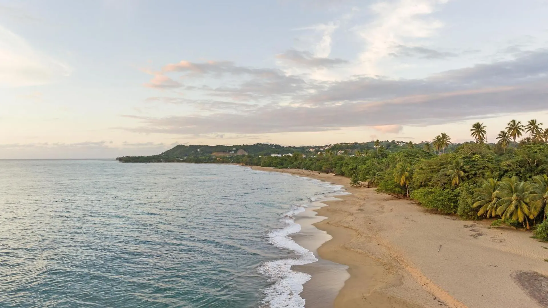 Casa Loba Luxe Unit 1 With Private Swimming Pool Daire Rincon
